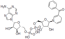 CAS 登录号：104076-88-2， 3-苯甲酰基吡啶-腺嘌呤二核苷酸
