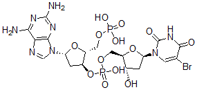 CAS#: 104576-80-9, Poly(2-Aminodeoxyadenylate-5-Bromodeoxyuridylate)