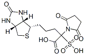CAS#: 105248-43-9, 2,5-Dioxo-1-[5-(2-Oxo-1,3,3a,4,6,6a-Hexahydrothieno[3,4-d]Imidazol-6-Yl)Pentanoyloxy]Pyrrolidine-3-Sulfonic Acid