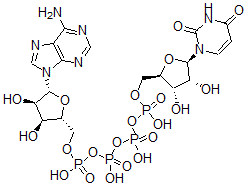 CAS#: 10527-48-7, Adenosine(5')Tetraphosphate Uridine