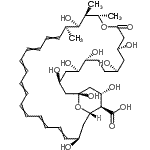 CAS 登录号：106799-07-9， Amphoteronolide B