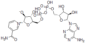 CAS#: 108646-17-9, (2S,3S,4S,5R)-5-[[[[(2R,3S,4R,5R)-5-(6-Aminopurin-9-Yl)-3,4-Dihydroxyoxolan-2-Yl]Methoxy-Hydroxyphosphoryl]Oxy-Hydroxyphosphoryl]Oxymethyl]-2-(3-Carbamoylpyridin-1-Ium-1-Yl)-4-Hydroxyoxolan-3-Olate