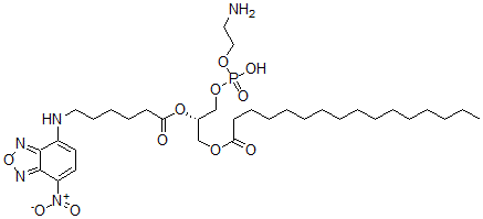 CAS 登录号：108762-10-3， [(2S)-3-(2-氨基乙氧基-羟基磷酰)氧基-2-[6-[(4-硝基-2,1,3-苯并恶二唑-7-基)氨基]己酰氧基]丙基]十六烷酸酯