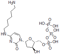 CAS#: 110537-14-9, [(2R,3S,5R)-5-[4-(6-Aminohexylamino)-2-Oxopyrimidin-1-Yl]-3-Hydroxyoxolan-2-Yl]Methyl (Hydroxy-Phosphonooxyphosphoryl) Hydrogen Phosphate