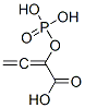 CAS#: 112683-56-4, Cyclohexanamine; 2-Phosphonooxybuta-2,3-Dienoic Acid