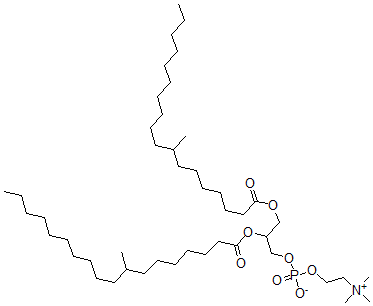 CAS#: 114927-92-3, 2,3-Bis(8-Methyloctadecanoyloxy)Propyl 2-Trimethylazaniumylethyl Phosphate