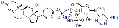CAS#: 115288-28-3, 24-(12-Hydroxy-3-Oxo-4-Cholenoyl-5'-Phospho)-3'-Phosphoadenosine