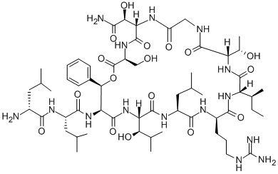 CAS#: 116340-02-4, N-[6-(2-Amino-1-Hydroxy-2-Oxoethyl)-15-Butan-2-Yl-18-[3-(Diaminomethylideneamino)Propyl]-12-(1-Hydroxyethyl)-3-(Hydroxymethyl)-24-(1-Hydroxy-2-Methylpropyl)-21-(2-Methylpropyl)-2,5,8,11,14,17,20,23,26-Nonaoxo-28-Phenyl-1-Oxa-4,7,10,13,16,19,22,25-Octazacyclooctacos-27-Yl]-2-[(2-Amino-4-Methylpentanoyl)Amino]-4-Methylpentanamide