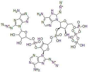 CAS 登录号:117146-01-7, 5'-O-三磷酰-8-叠氮基腺苷酰-(2'-5')-8-叠氮基腺苷酰-(2'-5')-8-叠氮基腺苷