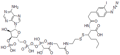 CAS 登录号：121368-75-0， N-(3-碘-4-叠氮基苯基丙酰胺基)半胱氨酰-5-(2'-硫代吡啶基)半胱氨酸-辅酶A