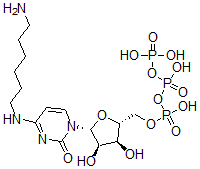 CAS#: 123354-89-2, [(2R,3S,4R,5R)-5-[4-(6-Aminohexylamino)-2-Oxopyrimidin-1-Yl]-3,4-Dihydroxyoxolan-2-Yl]Methyl (Hydroxy-Phosphonooxyphosphoryl) Hydrogen Phosphate