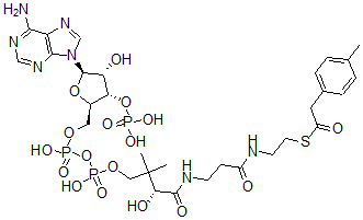 CAS#: 124924-92-1, 4-Tolylacetyl-coenzyme A