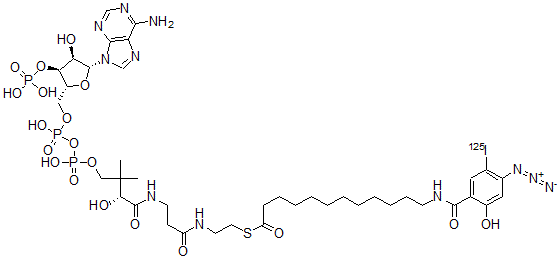 CAS#: 125108-87-4, Coenzyme A S-(12-((4-Azido-2-Hydroxy-5-(Iodo-125I)Benzoyl)Amino)Dodecanoate)