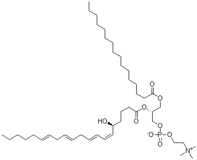CAS#: 125111-41-3, [(2R)-3-Hexadecanoyloxy-2-[(5S,6Z,8E,11E,14E)-5-Hydroxyicosa-6,8,11,14-Tetraenoyl]Oxypropyl] 2-Trimethylazaniumylethyl Phosphate