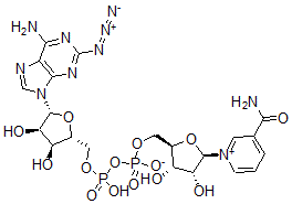 CAS#: 126609-61-8, 2-Azidoadenosine dinucleotide