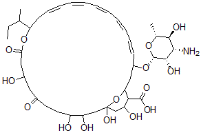 CAS 登录号：128808-62-8， (6Z,10Z)-3-[(2R,3S,4S,5S,6R)-4-氨基-3,5-二羟基-6-甲基四氢吡喃-2-基]氧基-15-丁烷-2-基-19,24,25,27,29-五羟基-17,21-二氧代-16,31-二氧杂双环[25.3.1]三十一碳-4,6,8,10,12-五烯-30-羧酸