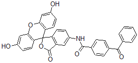 CAS 登录号：130991-96-7， 4-(苯甲酰基)-N-(3',6'-二羟基-3-氧代螺[2-苯并呋喃-1,9'-氧杂蒽]-5-基)苯甲酰胺