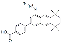 CAS#: 131206-65-0, 4-(4-Azido-1,5,5,8,8-Pentamethyl-6,7-Dihydroanthracen-2-Yl)Benzoic Acid
