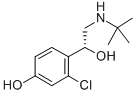 CAS#: 134865-33-1, (alphaR)-2-Chloro-alpha-[[(1,1-Dimethylethyl)Amino]Methyl]-4-Hydroxy-Benzenemethanol