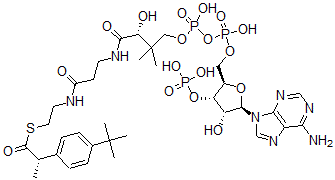 CAS#: 135027-64-4, Ibuprofenyl-coenzyme A