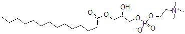 CAS 登录号：13699-45-1， 肉豆蔻酰基溶血磷脂胆碱
