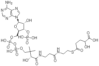 CAS 登录号：137374-53-9， (R)-辅酶 A-S-[1-氢 2-羟基戊烷二酸酯]
