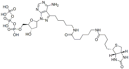 CAS#: 137823-47-3, 3-(5-((N-Biotinyl-6-aminocaproyl)amino)pentyl)-1-(2-deoxyerythropentofuranosyl)-1H-pyrazolo(3,4-d)pyrimidin-4-amine-5'-triphosphate