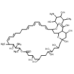 CAS#: 1405-32-9, 33-[(3-Amino-3,6-Dideoxyhexopyranosyl)Oxy]-1,3,5,6,9,11,17,37-Octahydroxy-15,16,18-Trimethyl-13-Oxo-14,39-Dioxabicyclo[33.3.1]Nonatriaconta-19,21,25,27,29,31-Hexaene-36-Carboxylic Acid