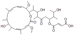 CAS#: 142386-68-3, (E)-4-[2,8-Dihydroxy-9-[(4E,6E,12E,14E)-10-Hydroxy-3,15-Dimethoxy-7,9,11,13-Tetramethyl-16-Oxo-1-Oxacyclohexadeca-4,6,12,14-Tetraen-2-Yl]-3,7-Dimethyl-6-Oxodecan-4-Yl]Oxy-4-Oxobut-2-Enoic Acid