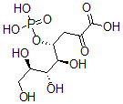 CAS#: 143651-48-3, (4R,5S,6R,7R)-5,6,7,8-Tetrahydroxy-2-Oxo-4-Phosphonooxyoctanoic Acid