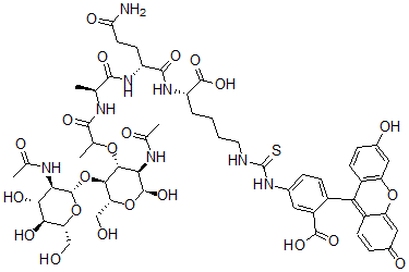 CAS#: 143873-62-5, N2-(N2-(N-(N-acetyl-4-O-(2-(acetylamino)-2-deoxy-beta-D-glucopyranosyl)muramoyl)-L-alanyl)-D-alpha-glutaminyl)-N6-(((3-carboxy-4-(6-hydroxy-3-oxo-3H-xanthen-9-yl)phenyl)amino)thioxomethyl)-L-Lysine