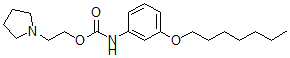 CAS 登录号：152676-77-2， 2-吡咯烷-1-基乙基N-(3-庚氧基苯基)氨基甲酸酯