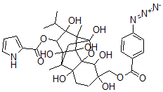 CAS 登录号：154504-97-9， 9-羟基-21-(4-叠氮基苯甲酰基氧基)-9-表利阿诺定