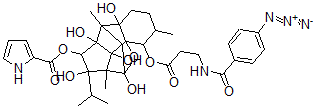 CAS 登录号：154505-02-9， 10-O-(3-(4-叠氮基苯甲酰胺基)丙酰基)利阿诺定