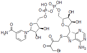 CAS 登录号：154591-46-5， 8-(4-溴-2,3-二氧代丁硫基)烟酰胺腺嘌呤二核苷酸