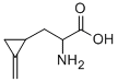 CAS 登录号：156-56-9， (2S)-2-氨基-3-[(1S)-2-亚甲基环丙基]丙酸