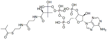 CAS#: 15621-60-0, [(2R,3S,4R,5R)-5-(6-Aminopurin-9-Yl)-4-Hydroxy-2-[[Hydroxy-[Hydroxy-[(3R)-3-Hydroxy-2,2-Dimethyl-3-[2-[2-(2-Methylpropanoylsulfanyl)Ethylcarbamoyl]Ethylcarbamoyl]Propoxy]Phosphoryl]Oxy-Phosphoryl]Oxymethyl]Oxolan-3-Yl]Oxyphosphonic Acid