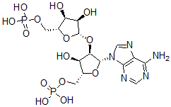 CAS 登录号：15720-01-1， 2'-(5''-磷酰核糖基)-5'-腺苷单磷酸酯