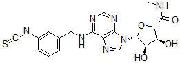 CAS 登录号：157848-36-7， (2S,3S,4R,5R)-3,4-二羟基-5-[6-[(3-异硫氰酸基苯基)甲基氨基]嘌呤-9-基]-N-甲基四氢呋喃-2-甲酰胺