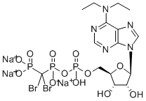 CAS#: 160928-38-1, N,N-Diethyl-5'-Adenylicacid 5'-Anhydride With P,P'-(Dibromomethylene)Bis[Phosphonic Acid]