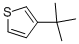CAS#: 1689-79-8, 3-Tert-Butylthiophene