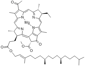 CAS 登录号：17499-98-8， 细菌叶绿素