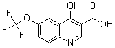 CAS 登录号：175203-86-8， 4-羟基-6-(三氟甲氧基)-3-喹啉羧酸