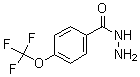 CAS#: 175277-18-6, 4-(Trifluoromethoxy)-Benzoic Acid Hydrazide