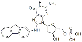 CAS 登录号：17660-46-7， 8-(N-芴-2-基氨基)-2'-脱氧鸟苷5'-单磷酸酯