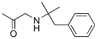 CAS 登录号：19213-12-8， 1-[(1,1-二甲基-2-苯基乙基)氨基]-2-丙酮