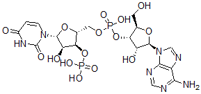 CAS#: 1985-21-3, Adenylyl-(3'-5')-Uridine 3'-Monophosphate