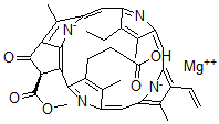 CAS#: 20369-67-9, Protochlorophyllide