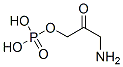CAS 登录号：205189-34-0， (3-氨基-2-氧代-丙氧基)膦酸