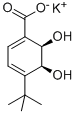 CAS#: 205639-92-5, (5S,6R)-4-Tert-Butyl-5,6-Dihydroxycyclohexa-1,3-Diene-1-Carboxylate